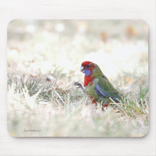 Tapis De Souris Beauté de Crimson (Devant)