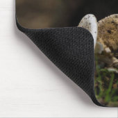 Tapis De Souris Beauté douteuse (Coin)