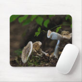 Tapis De Souris Beauté douteuse (Avec souris)