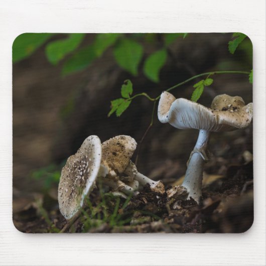 Tapis De Souris Beauté douteuse (Devant)