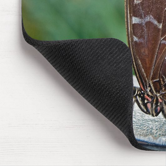 Tapis De Souris Beauté fragile (Coin)