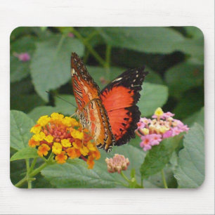 Tapis De Souris Beauté orange