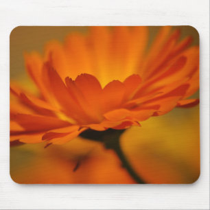 Tapis De Souris Beauté orange