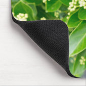 Tapis De Souris beauté plante verte (Coin)