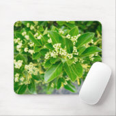 Tapis De Souris beauté plante verte (Avec souris)