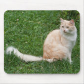 Tapis De Souris Beauté rouge clair (Devant)