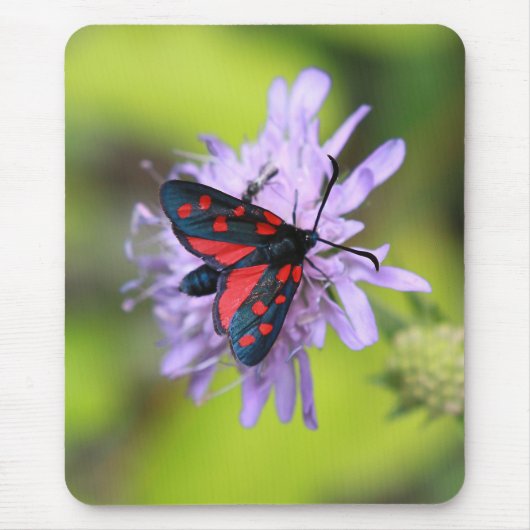 Tapis De Souris Beautiful moth (Devant)
