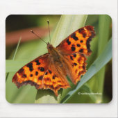 Tapis De Souris Beautiful Orange Satyr Comma Butterfly (Devant)
