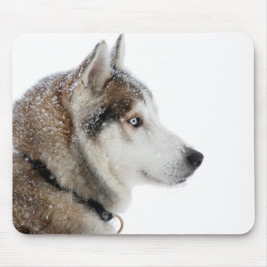 Tapis De Souris Beautiful Siberian Husky dans le Snow (Devant)