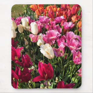 Tapis De Souris Beautiful Tulip