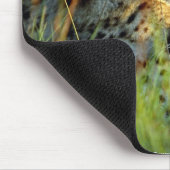 Tapis De Souris Beaux animaux sauvages 112 (Coin)