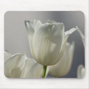 Tapis De Souris Beaux Tulipes Blancs de Printemps