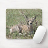 Tapis De Souris Bébé antilope pronghorn A7 (Avec souris)
