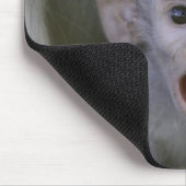 Tapis De Souris Bébé babouin sous sa mère (Coin)