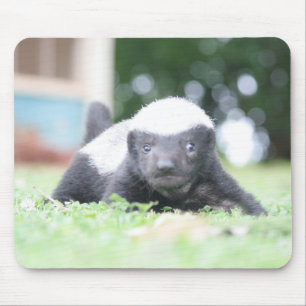 Tapis De Souris Bébé blaireau au miel