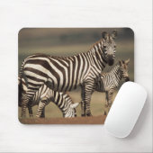 Tapis De Souris Bébé Burchell's Zebra avec mère (Avec souris)