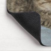 Tapis De Souris Bébé chat (Coin)