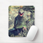 Tapis De Souris Bébé cirage Jeune Oiseau Nature (Avec souris)