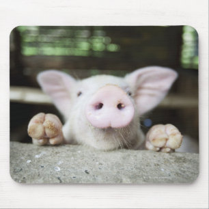 Tapis De Souris Bébé Cochon en Stylo, Piglet