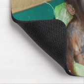 Tapis De Souris Bébé de Pouty de conservation de faune (Coin)