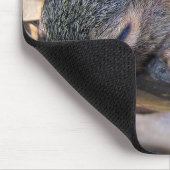 Tapis De Souris Bébé écureuil dormant (Coin)