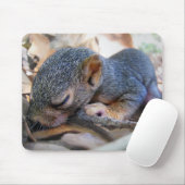 Tapis De Souris Bébé écureuil dormant (Avec souris)
