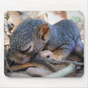 Tapis De Souris Bébé écureuil dormant