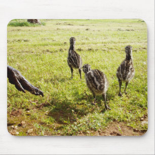 Tapis De Souris Bébé Emu Chicks Et Big Foot,