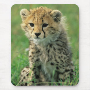 Tapis De Souris Bébé guépard flou