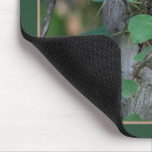 Tapis De Souris Bébé mignon Raccoons (Coin)