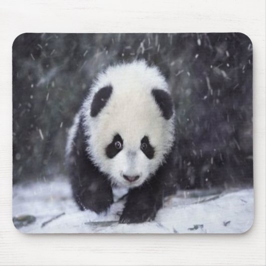 Tapis De Souris Bébé Mousepad de panda de neige (Devant)