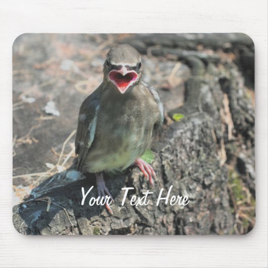 Tapis De Souris Bébé Oiseau Nature Photographie Mousepad (Devant)