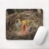 Tapis De Souris Bébé Oiseaux (Avec souris)