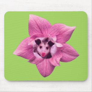 Tapis De Souris Bébé opossum