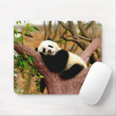 Tapis de souris bébé panda endormi (Avec souris)