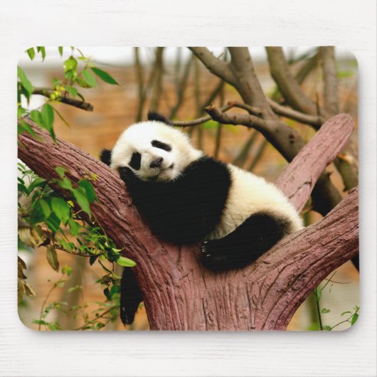 Tapis de souris bébé panda endormi (Devant)