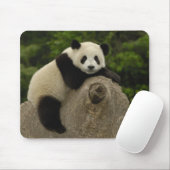 Tapis De Souris Bébé panda géant (Avec souris)