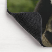 Tapis De Souris Bébé panda géant (Coin)
