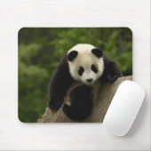Tapis De Souris Bébé panda géant (Avec souris)