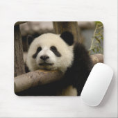 Tapis De Souris Bébé panda géant Ailuropoda melanoleuca) (Avec souris)