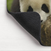 Tapis De Souris Bébé panda géant (Ailuropoda melanoleuca) (Coin)