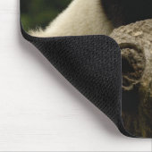 Tapis De Souris Bébé panda géant Ailuropoda melanoleuca) (Coin)