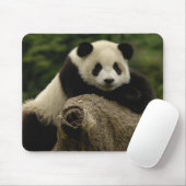 Tapis De Souris Bébé panda géant Ailuropoda melanoleuca) (Avec souris)