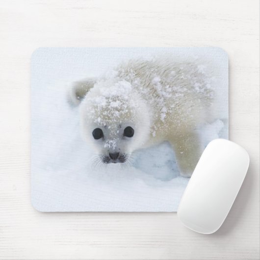 Tapis De Souris Bébé phoque (Avec souris)