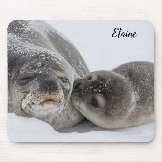 Tapis De Souris Bébé phoque mignon et maman (Devant)