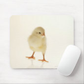 Tapis De Souris Bébé poulet (Avec souris)