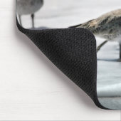 Tapis De Souris Bécasseaux (Coin)