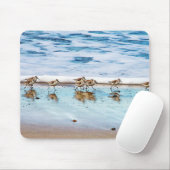 Tapis De Souris Bécasseaux fonctionnant le long de la plage (Avec souris)