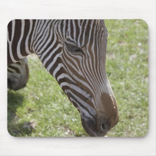 Tapis De Souris Bedfordshire, Angleterre (Devant)