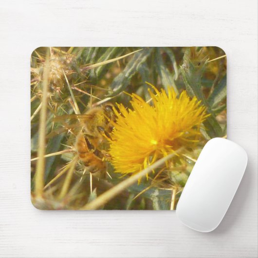 Tapis De Souris Bee and Star Thistle (Centaurea solstitialis) (Avec souris)